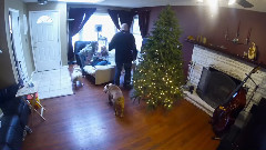 音乐短片 - How Tobuilda Christmas Tree 2014