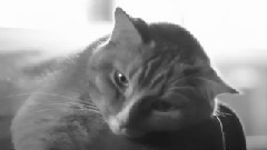 音乐短片 - Glass Eyes