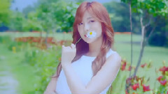 Apink - Petal