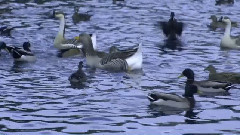 音乐短片 - Feelings