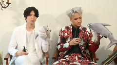 VIXX - 回归采访