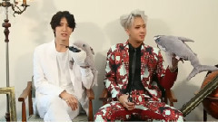 VIXX,Jewelry S - Come Back采访