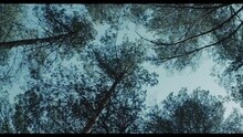 Vaults - Cry No More