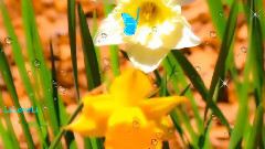 音乐短片 - Beautiful Relaxing Instrumental Music