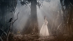 音乐短片 - Ballerina