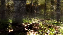 音乐短片 - Dreamland Crescendo