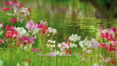 New - Gentle Moment