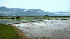 音乐短片 - 四季乐色 夏日山居图