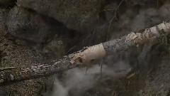 音乐短片 - 一叶扁舟