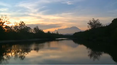 音乐短片 - Mr Subramanian Wetland Park Was Born