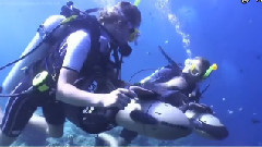 音乐短片 - SEADOO Seascooter - VSSupercharged