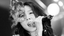 陈绮贞 - 一首歌,让你带回去 现场版
