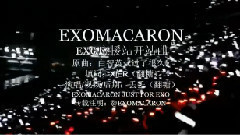 EXO - 心悸 (翻糖站开站曲)