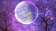 音乐短片 - Song To The Moon