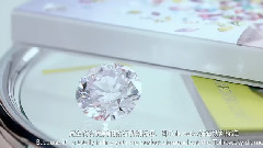 音乐短片 - SUGAR aesthetics techniques