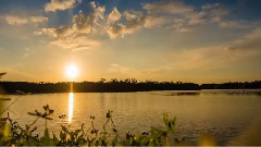 音乐短片 - J.N Ding Darling National Wildlife Refuge