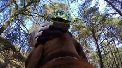 音乐短片 - GoPro Amber The Downhill Dog