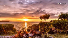 音乐短片 - 云踪