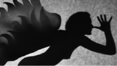 音乐短片 - Birds Talk In The Morning Sky