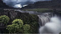 音乐短片 - 花样年华