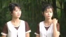 樱花姐妹 - 心爱我已经要出嫁