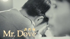 许哲佩 - Mr.Dove