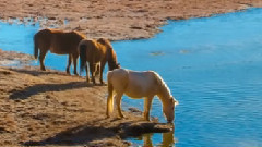音乐短片 - 爱的箴言