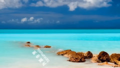 音乐短片 - 美若黎明