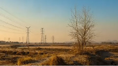 音乐短片 - 田野静悄悄