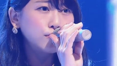 AKB48 - 2588日