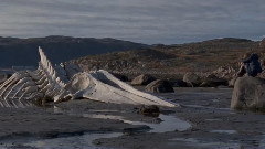 音乐短片 - Leviathan 2014 SoundTrack Akhnaten Philip Glass