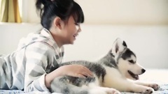 音乐短片 - 一封给汪星人的情书