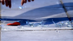 音乐短片 - Dreaming Alone Feeling Together