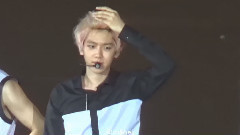 吴世勋(EXO),边伯贤(EXO),EXO - TALK