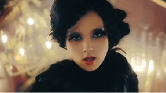日本群星 - Black Swallowtail