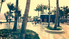 音乐短片 - 全球婚礼视频精选006