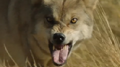 音乐短片 - 沧浪之歌