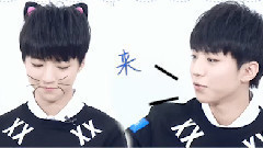 王俊凯,TFBOYS - 两只凯喵