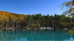 音乐短片 - 北海道与东京 Hokkaido-Tokyo