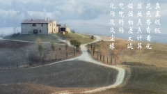 音乐短片 - 石头记