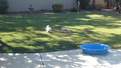 音乐短片 - What A Wonderful Year