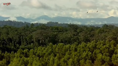 音乐短片 - 情感的音乐生活触摸 生活并非总是如此多彩!