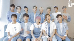 Seventeen - Seventeen出道100天 (15.05.26-15.09.02)
