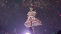 田村ゆかり LOVE LIVE 2013 Cute'n Cute'n Heart