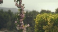 La Grande Sophie - Sucrer Les Fraises