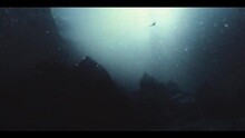 Zedd - Find You