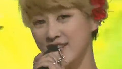SPICA - Tonight