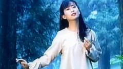 孟庭苇 - 透过开满鲜花的月亮