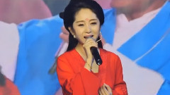 华语群星 - 女儿情 饭制版