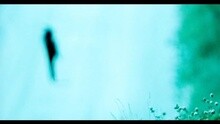 Lady Gaga - Yoü And I